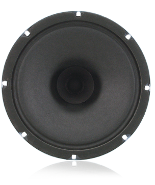 8" DUAL CONE LOUDSPEAKER WITH 25V-5W TRANSFORMER