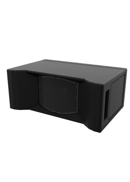 110 X 60 DEGREE SPEAKER, PASSIVE INSTALL VERSION, CUSTOM COLOR