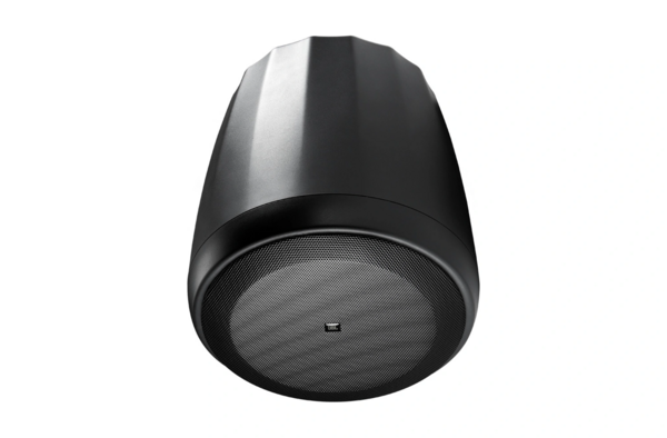 EXTENDED-BASS FULL-RANGE PENDANT SPEAKER WITH RBI.  6-1/2" (165 MM) LF & SILK DOME HF, RBI RADIATION