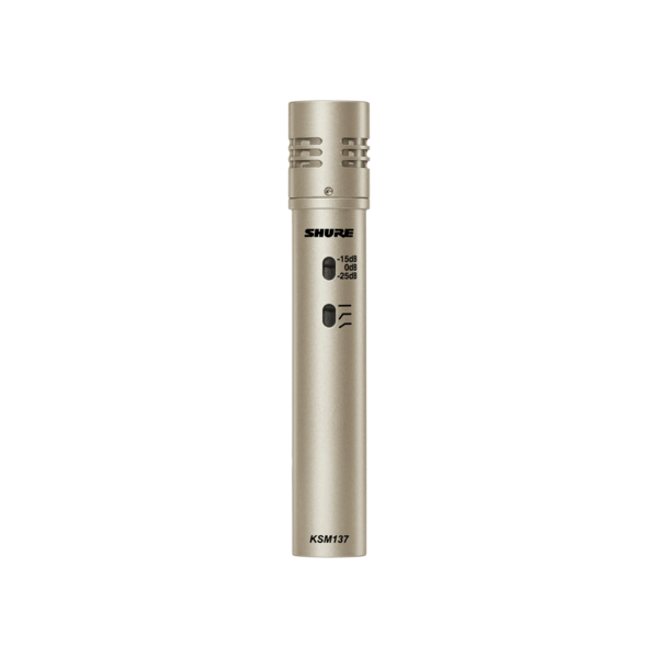 CARDIOID STUDIO CONDENSER MICROPHONE (CHAMPAGNE), FOAM WINDSCREEN AND CARRYING CASE