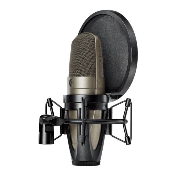LARGE DUAL-DIAPHRAGM, SIDE-ADDRESS CONDENSER VOCAL MICROPHONE (SABLE GRAY)