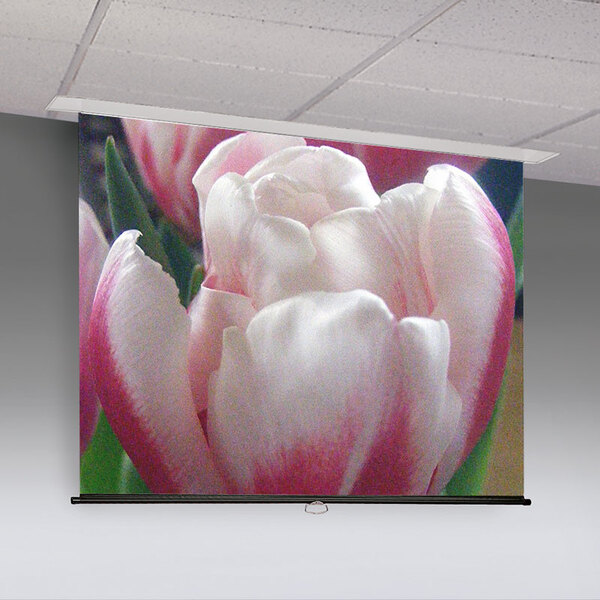 ACCESS M MANUAL SCREEN/CEILING RECESS, 161"D (79 X 140" VIEWING AREA), HDTV 16:9, MATT WHITE XT1000E