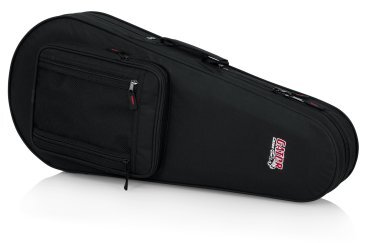 RIGID EPS POLYFOAM LIGHTWEIGHT CASE FOR MANDOLINS