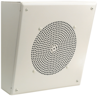 1W SELF/AMP SLANT MTL ENCL,8"