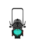 IP MULTI-COLOR LED ELLIPSOIDAL FIXTURE, BLACK