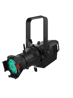 IP MULTI-COLOR LED ELLIPSOIDAL FIXTURE, BLACK