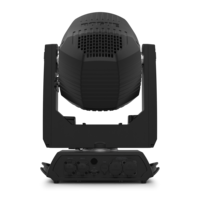 ROGUE OUTCAST 1M BEAM