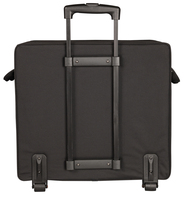 CASE FOR SMALLER "PASSPORT" TYPE PA SYSTEMS