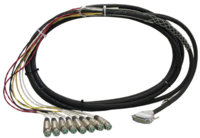 8 channel, D-sub to XLR female interface