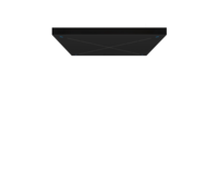 TEAMCONNECT CEILING 2, A BEAMFORMING CEILING ARRAY MIC WITH 2 DANTE AND 1 ANALOG AUDIO OUTPUT/ BLACK