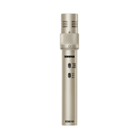 DUAL-PATTERN (CARDIOID/OMNIDIRECTIONAL) STUDIO CONDENSER MICROPHONE (CHAMPAGNE),