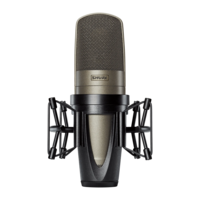LARGE DUAL-DIAPHRAGM, SIDE-ADDRESS CONDENSER VOCAL MICROPHONE (SABLE GRAY)