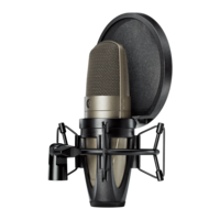 LARGE DUAL-DIAPHRAGM, SIDE-ADDRESS CONDENSER VOCAL MICROPHONE (SABLE GRAY)