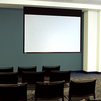 ACCESS E, 165", 16:10, MATT WHITE XT1000E, 110V