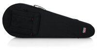 RIGID EPS POLYFOAM LIGHTWEIGHT CASE FOR BANJOS