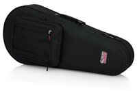 RIGID EPS POLYFOAM LIGHTWEIGHT CASE FOR MANDOLINS