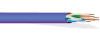 4P 23G SLD CAT 6 PLENUM / VIOLET